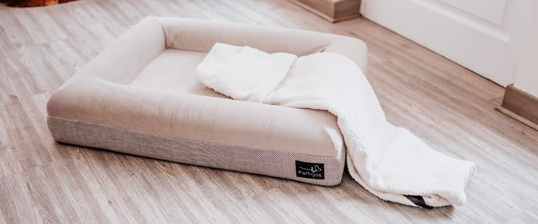 Ácaros en la cama de tu perro: cómo evitarlos con una funda lavable