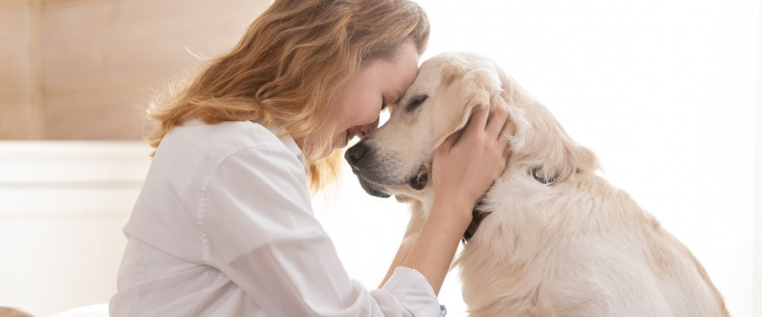 Día de la Madre: Regalos únicos para una dog mom