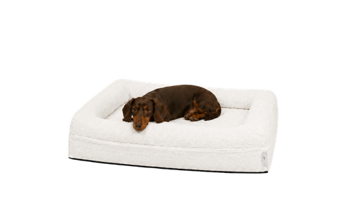 Perro de referencia para esta talla