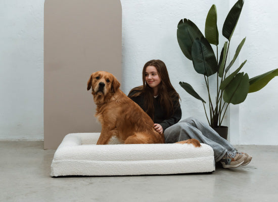 Pethijos-camas-ortopedicas-para-perros-osteoporosis---razas propensas