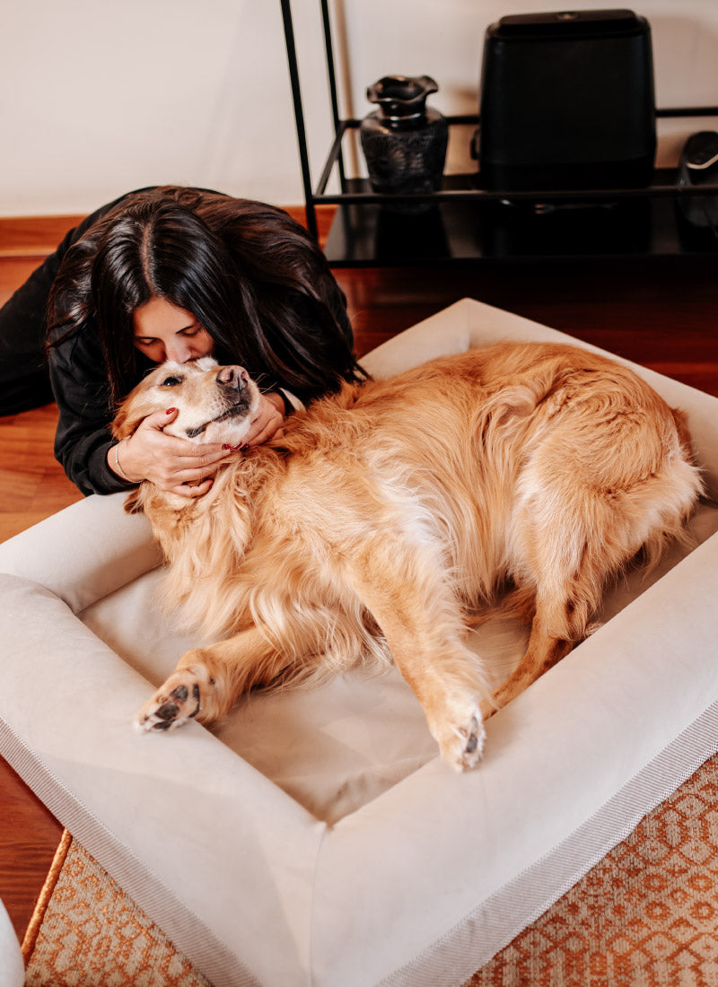 Pethijos-camas-para-perros--Beneficios-Carrusel5