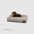Pethijos Espana - Camas para perros ortopedicas viscoelasticas - cama pequeña para perro teckel