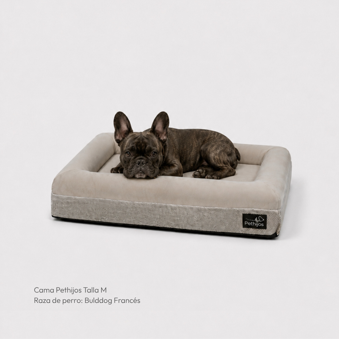 Cama Ortopédica Viscoelástica – Pethijos