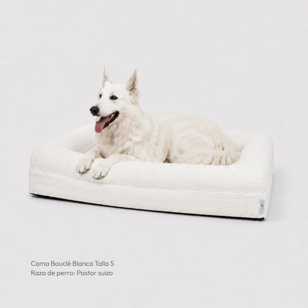 Cama Ortopédica Viscoelástica – Bouclé Blanca
