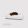 Pethijos Espana - Camas para perros ortopedicas viscoelasticas - cama pequeña para teckel