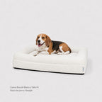 Pethijos Espana - Camas para perros ortopedicas viscoelasticas - cama mediana para beagle