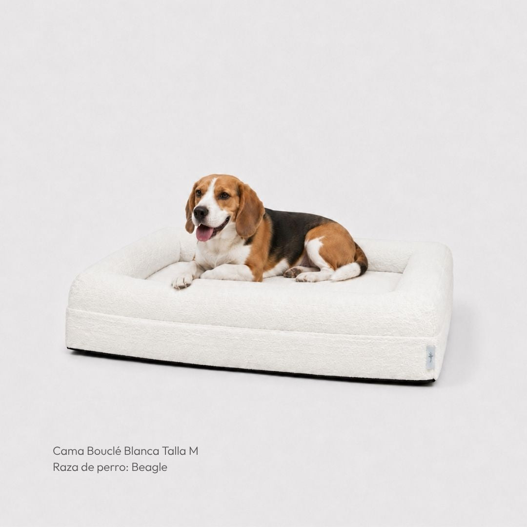 Pethijos Espana - Camas para perros ortopedicas viscoelasticas - cama mediana para beagle