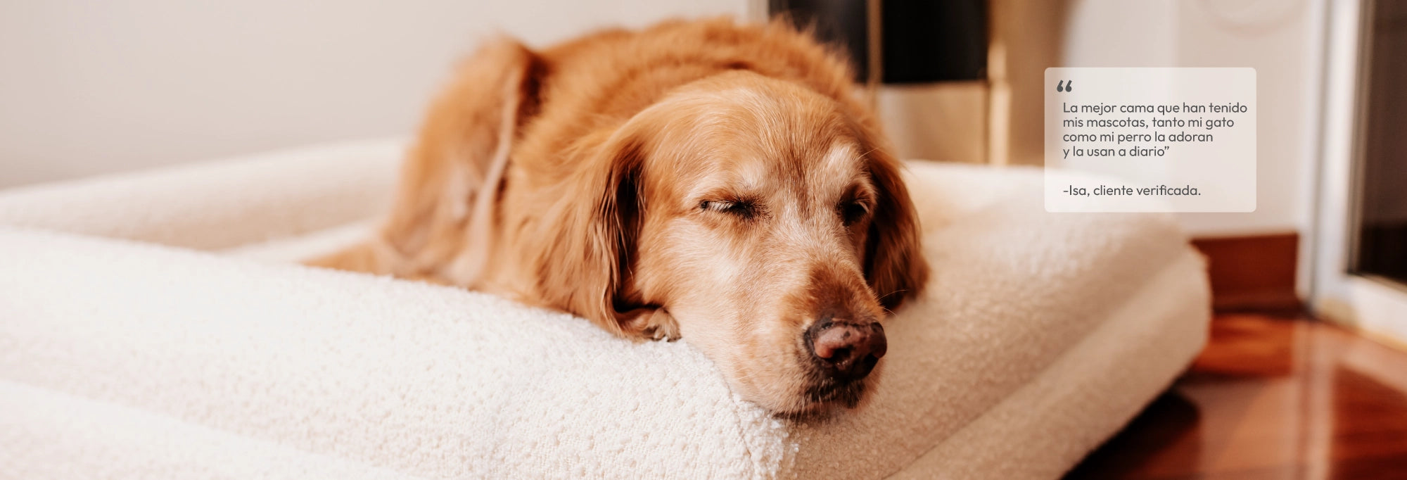 Camas_ortopédicas_para_perros_senior_perros_grandes_con_problemas_articulares