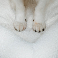 Pethijos España - Camas para perros ortopedicas viscoelasticas - meteriales resistentes