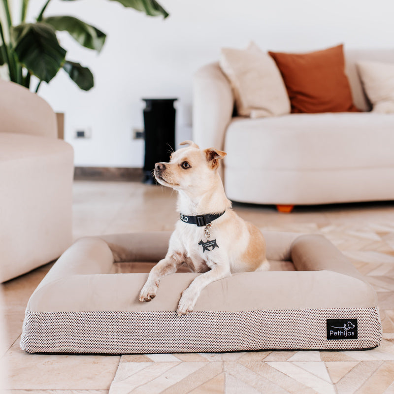 Pethijos España - Camas para perros ortopedicas viscoelasticas - perro sobre cama modelo pethijos