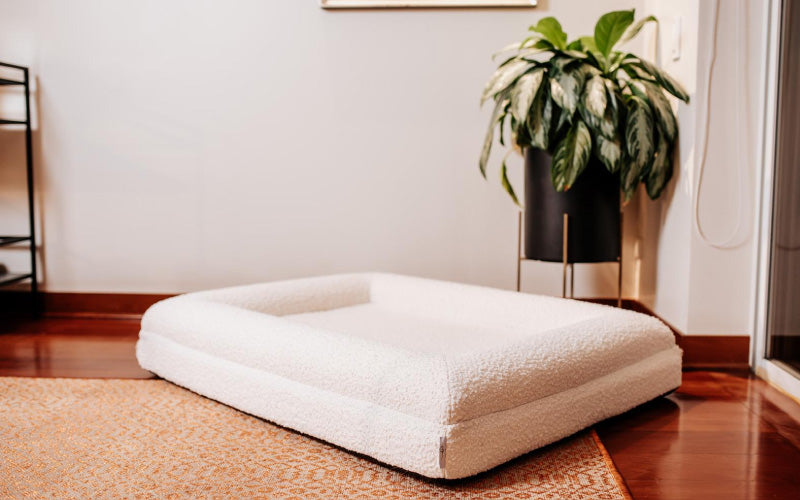 Pethijos Espana - Camas para perros ortopedicas viscoelasticas - foto cama boucle blanca