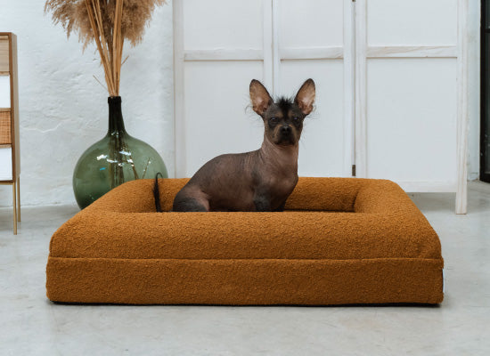 Pethijos España - Camas para perros ortopedicas viscoelasticas - camas para perros medianos talla M 1