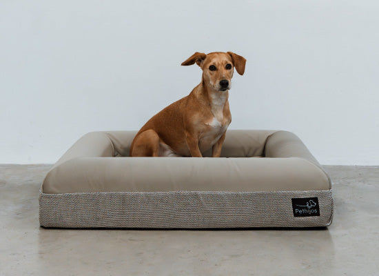 Pethijos España - Camas para perros ortopedicas viscoelasticas - camas para perros medianos talla M 3