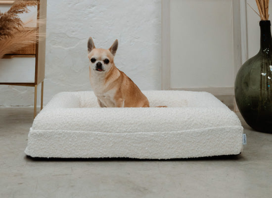 Pethijos España - Camas para perros ortopedicas viscoelasticas - camas para perros pequeños talla S 1