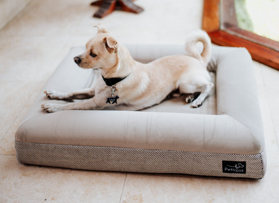 Pethijos España - Camas para perros ortopedicas viscoelasticas - camas para perros pequeños talla S foto 2