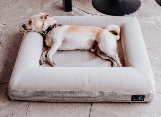 Pethijos España - Camas para perros ortopedicas viscoelasticas - camas para perros pequeños talla S 3