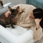 Pethijos Espana - Camas para perros ortopedicas viscoelasticas - foto persona con perro pequeño