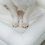 Pethijos Espana - Camas para perros ortopedicas viscoelasticas - foto materiales resistentes