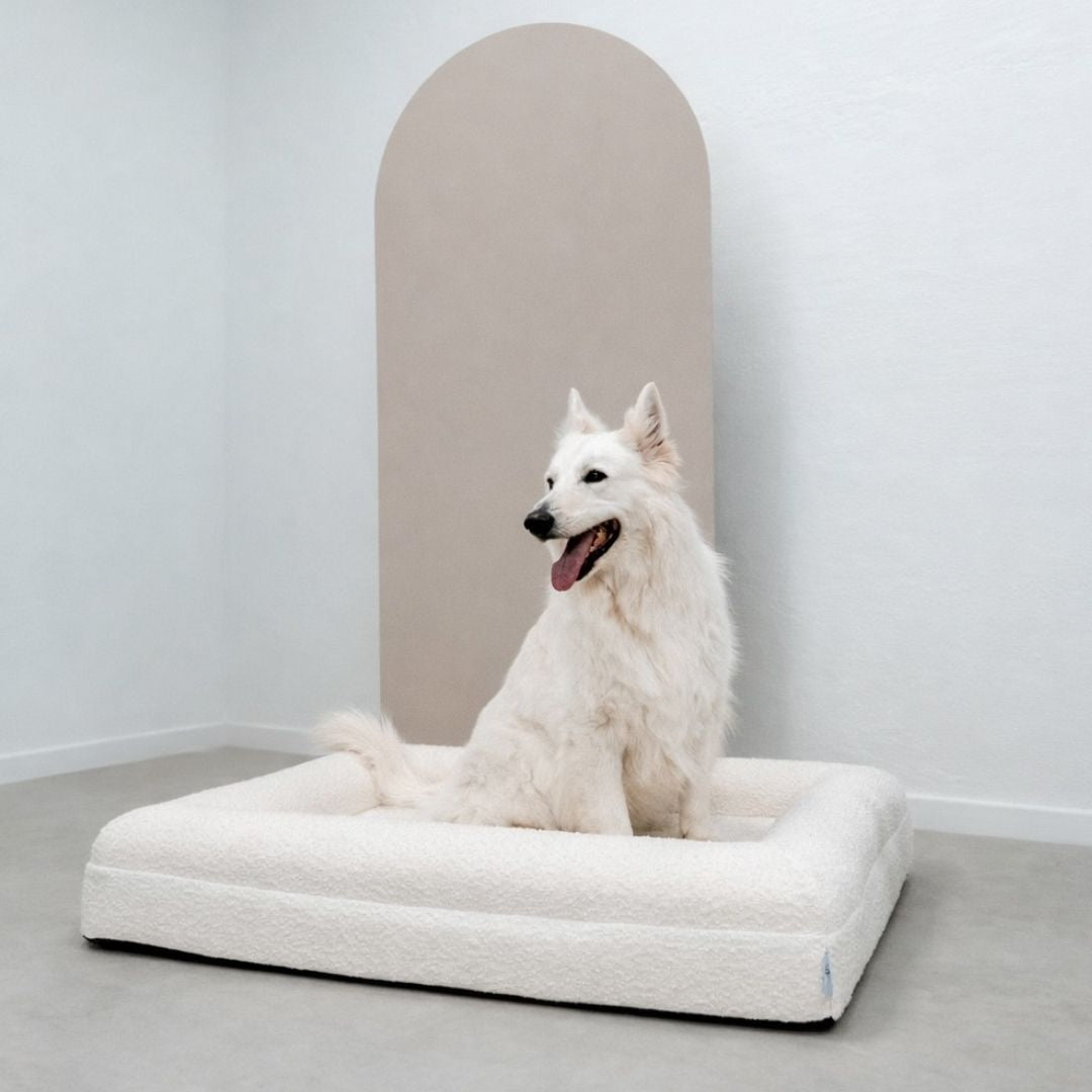 Pethijos Espana - Camas para perros ortopedicas viscoelasticas - perro sobre cama con funda