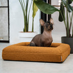 Pethijos Espana - Camas para perros ortopedicas viscoelasticas - perro pequeño sobre cama