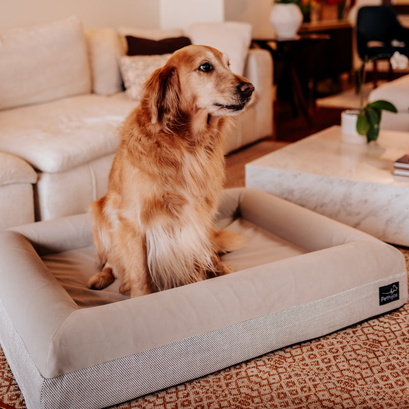 Pethijos Espana - Camas para perros ortopedicas viscoelasticas - cama para perro grande