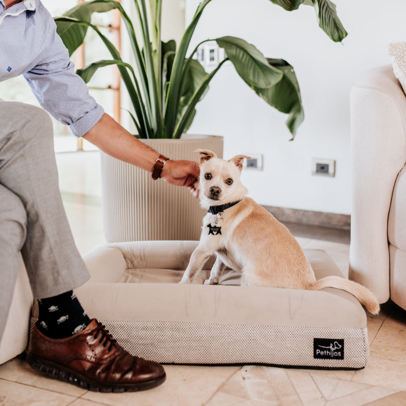 Pethijos Espana - Camas para perros ortopedicas viscoelasticas - cama para perro pequeño