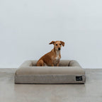 Pethijos Espana - Camas para perros ortopedicas viscoelasticas - perro sobre funda