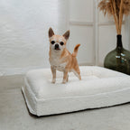 Pethijos Espana - Camas para perros ortopedicas viscoelasticas - cama para perro pequeño
