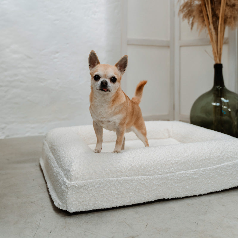 Pethijos Espana - Camas para perros ortopedicas viscoelasticas - cama para perro pequeño