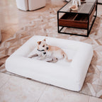 Pethijos Espana - Camas para perros ortopedicas viscoelasticas - perro pequeño sobre cama