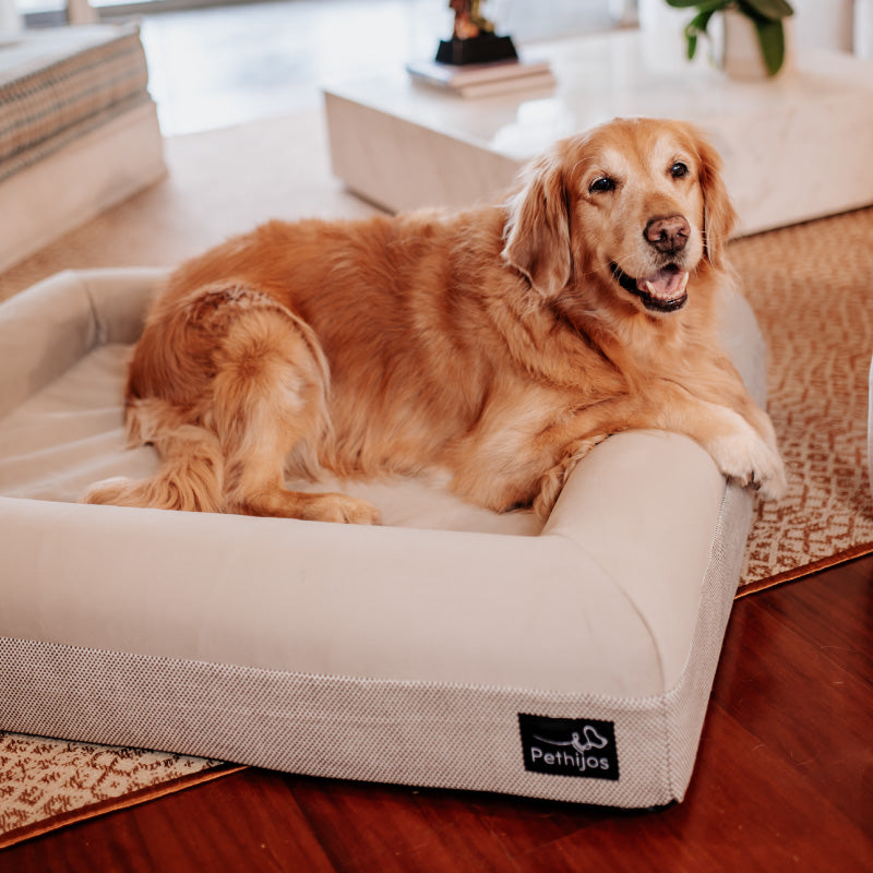 Pethijos Espana - Camas para perros ortopedicas viscoelasticas - cama para perro grande