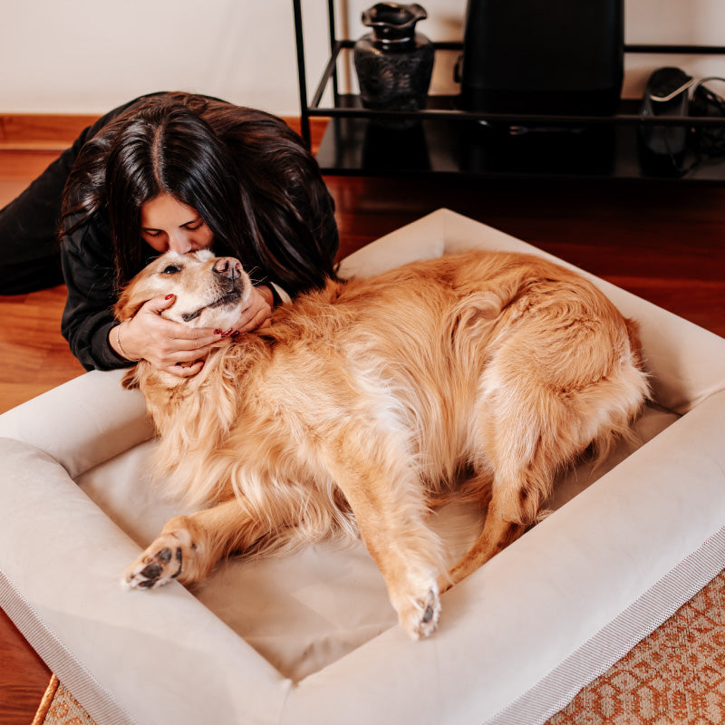 Pethijos Espana - Camas para perros ortopedicas viscoelasticas - mujer con perro grande