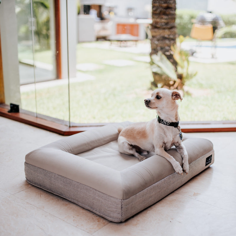 Pethijos Espana - Camas para perros ortopedicas viscoelasticas - modelo pethijos con perro sobre cama