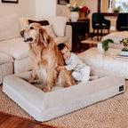 Pethijos Espana - Camas para perros ortopedicas viscoelasticas - modelo pethijos niño con perro en cama