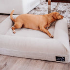 Pethijos_Espana_-_Camas_para_perros_ortopedicas_viscoelasticas_-_modelo_pethijos_perro_mediano_mestizo