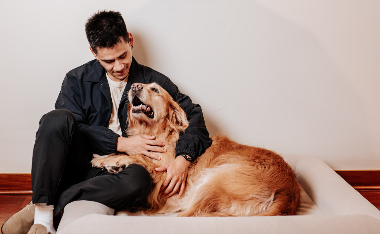 Pethijos Espana - Camas para perros ortopedicas viscoelasticas - hombre con perro grande