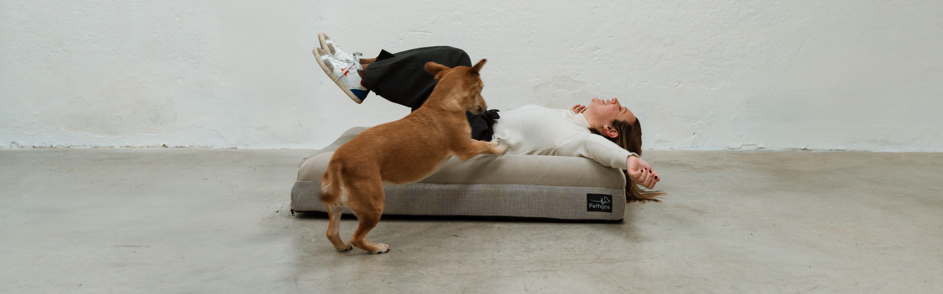 Pethijos Espana - Camas para perros ortopedicas viscoelasticas - sobre nosotros banner
