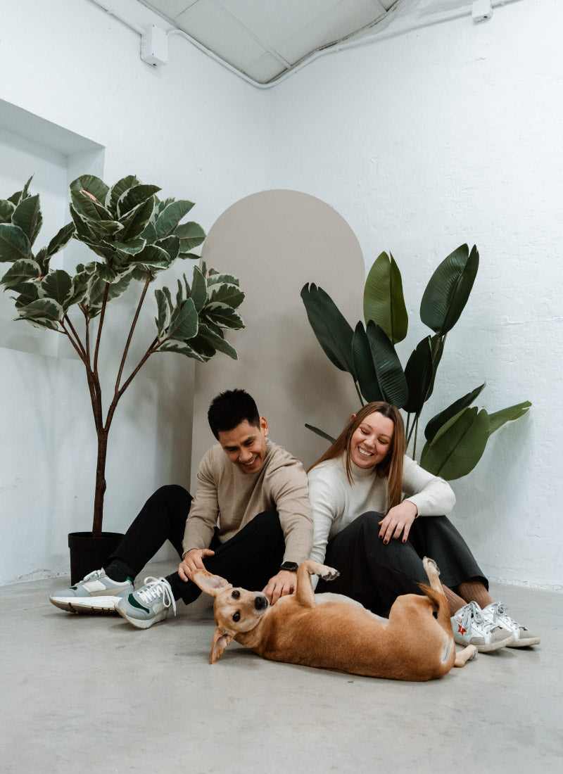 Pethijos Espana - Camas para perros ortopedicas viscoelasticas - sobre nosotros