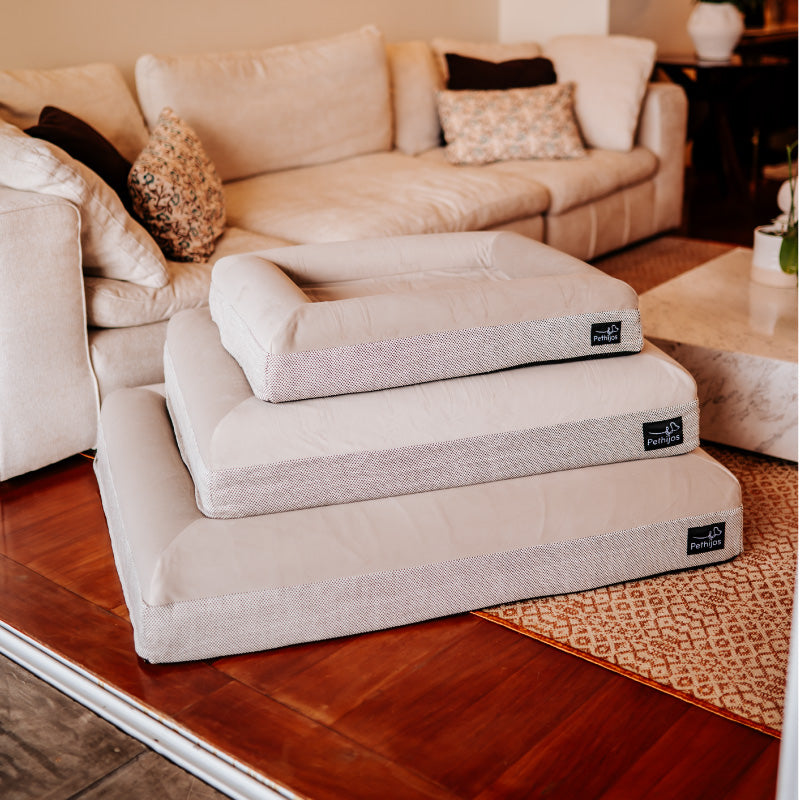 Pethijos Espana - Camas para perros ortopedicas viscoelasticas - 3 camas juntas tallas S, M Y L
