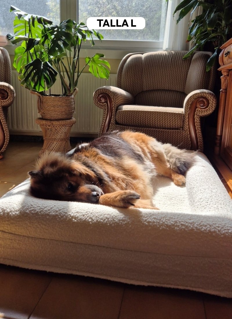 Pethijos_Espana_-_Camas_para_perros_ortopedicas_viscoelasticas_-_modelo_boucle_blanca_Perro_grande_talla_L