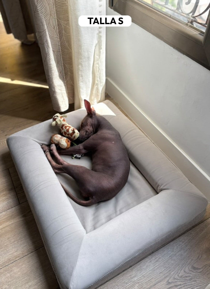 Pethijos_Espana_-_Camas_para_perros_ortopedicas_viscoelasticas_-_modelo_pethijos_Perro_raza_pequeno_talla_S