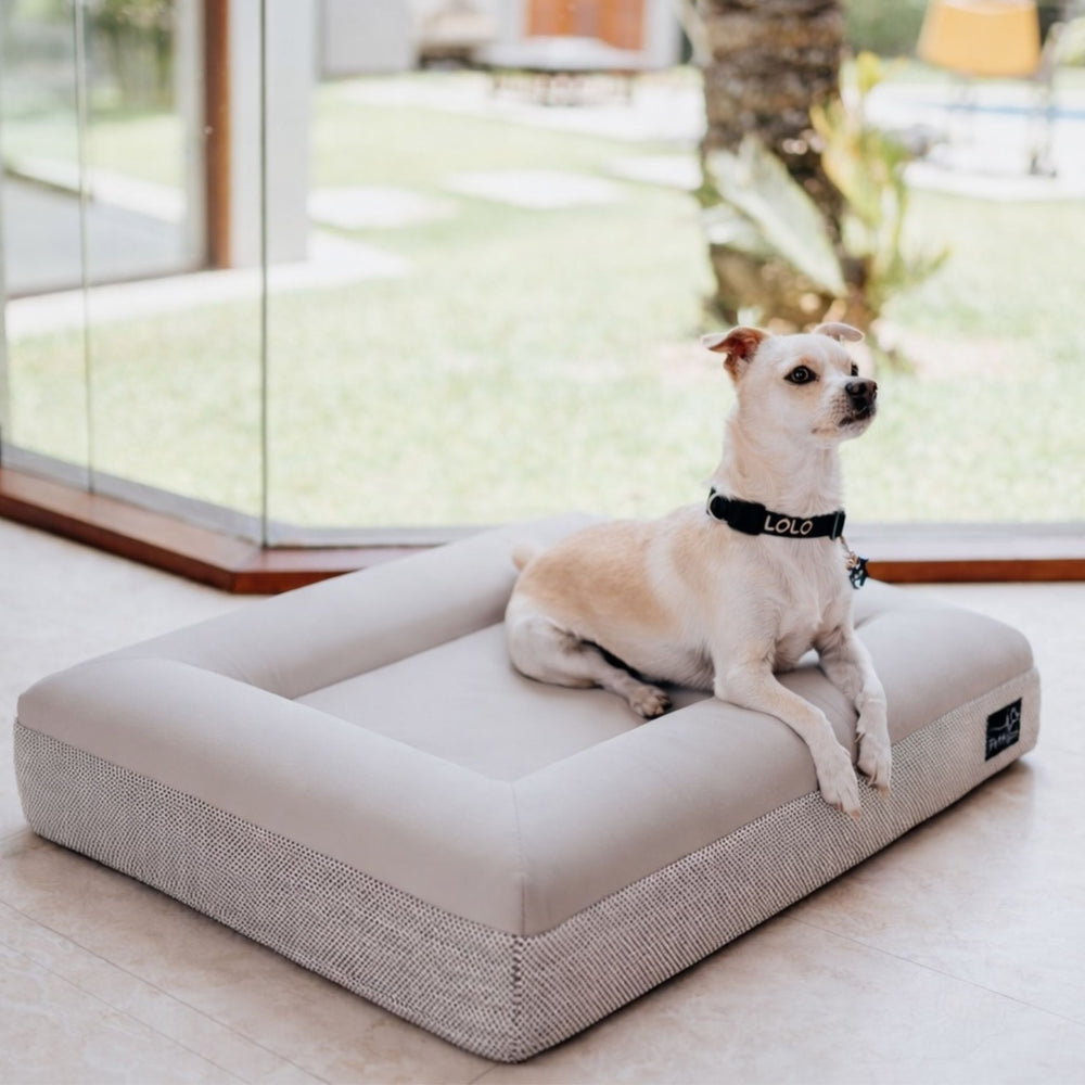 Cama ortopédica Pethijos con funda de microgamuza color cemento