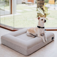 cama ortopedica pethijos perro sobre cama