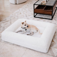 cama ortopedica boucle blanca perro sobre cama