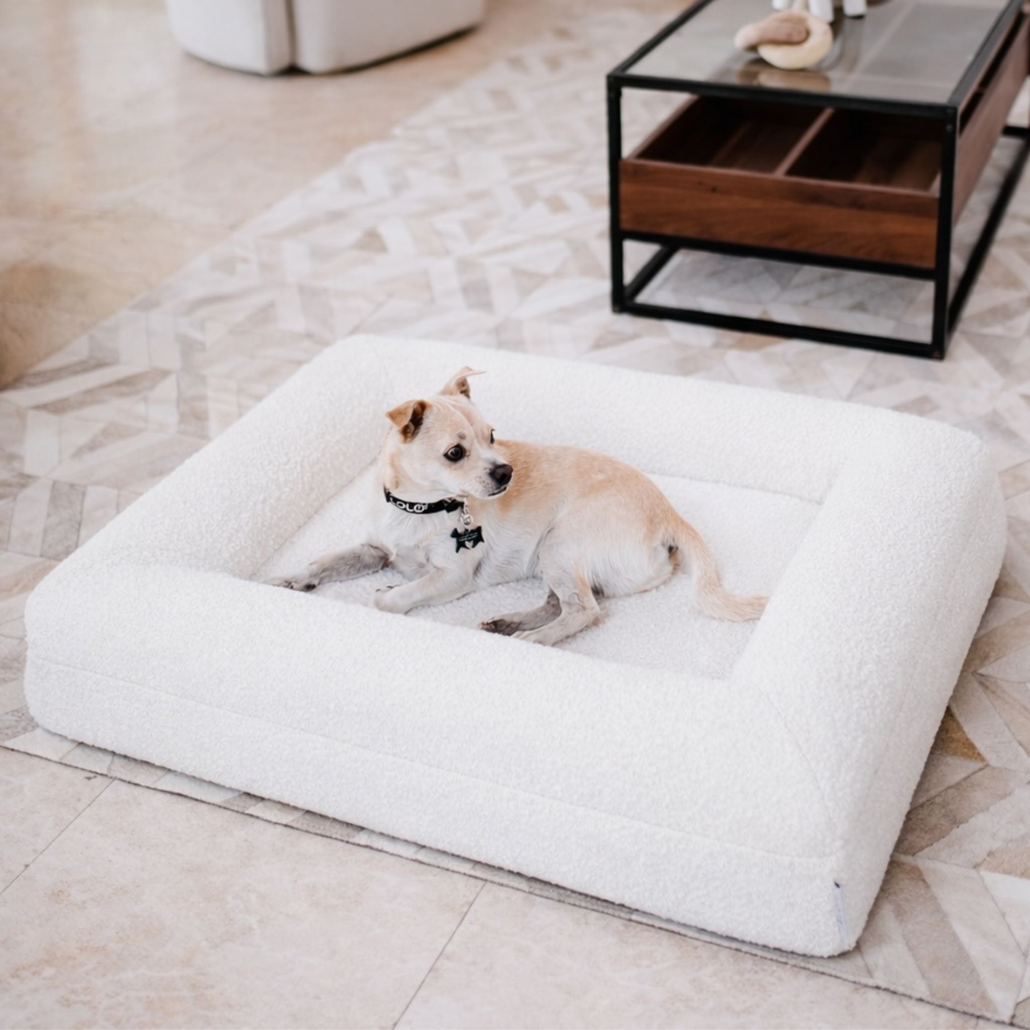 cama ortopedica boucle blanca perro sobre cama