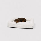 Teckel en una cama ortopédica Bouclé Blanca Pethijos, talla S