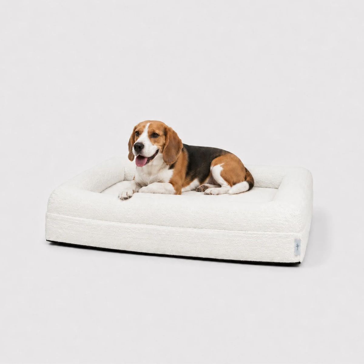 Beagle en una cama ortopédica Bouclé Blanca Pethijos, talla M