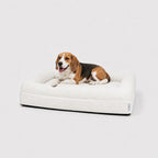 Beagle en una cama ortopédica Bouclé Blanca Pethijos, talla M