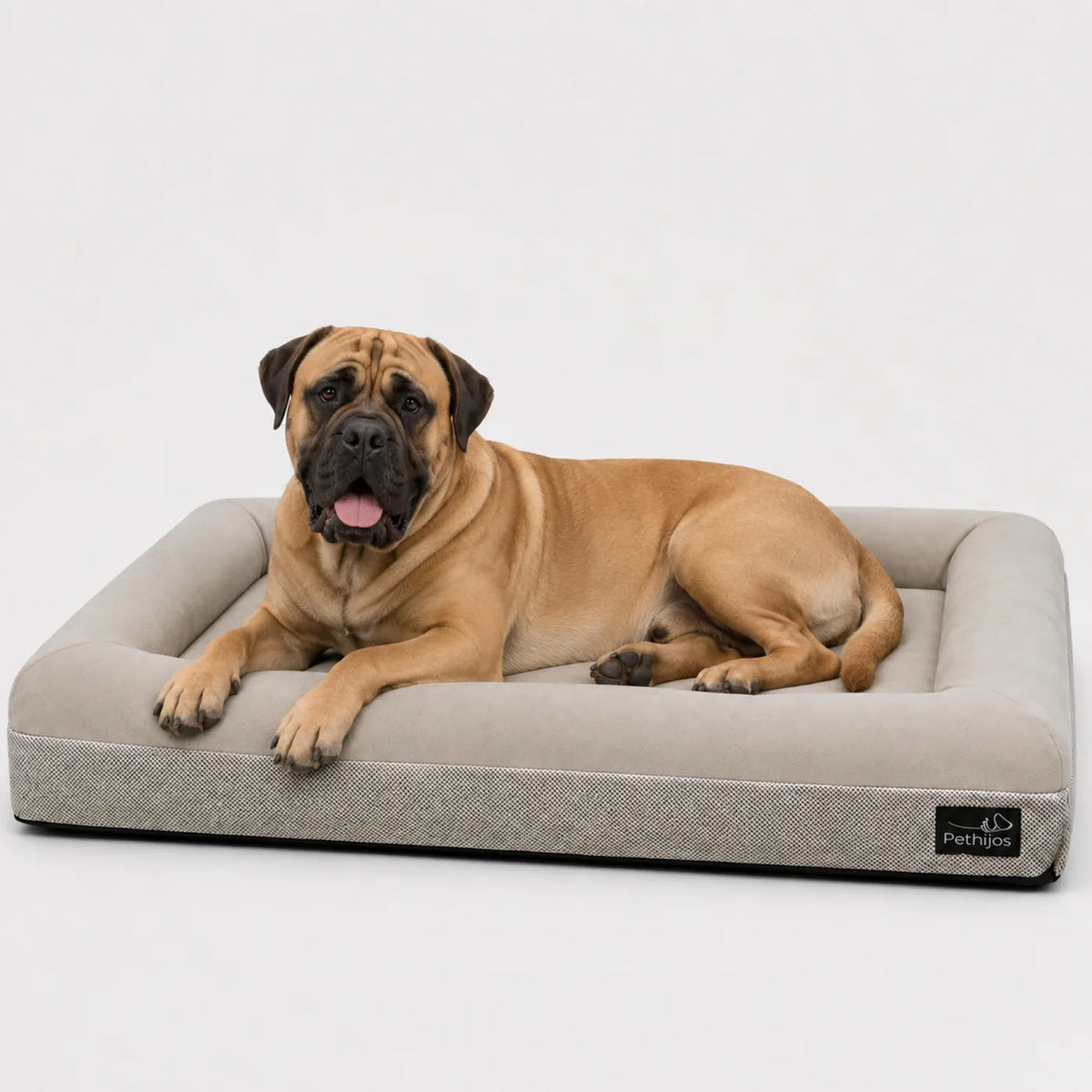 Bullmastiff numa cama ortopédica Pethijos, tamanho XL