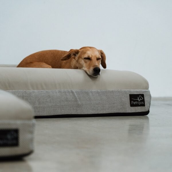 Cama Ortopédica Premium para Perros - Pethijos - Imagen 3